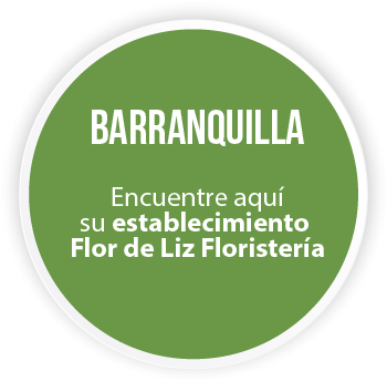 DISEAR:  BARRANQUILLA   Encuentre aqu su establecimiento Flor de Liz Floristera