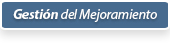 Gesti�n del Mejoramiento